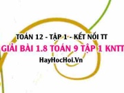 Bài 1.8 SGK Toán 12 tập 1 Kết nối tri thức